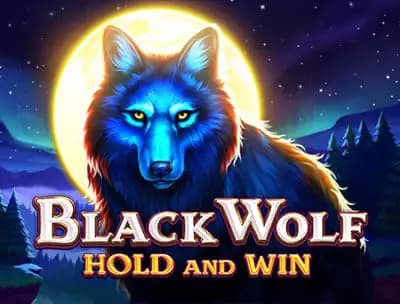 Play Black Wold Hold and Win