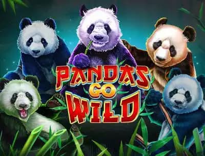 Pandas Go Wild