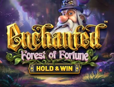 Enchanted: Forest of Fortune