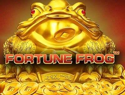 Fortune Frog