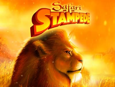 SAFARI STAMPEDE